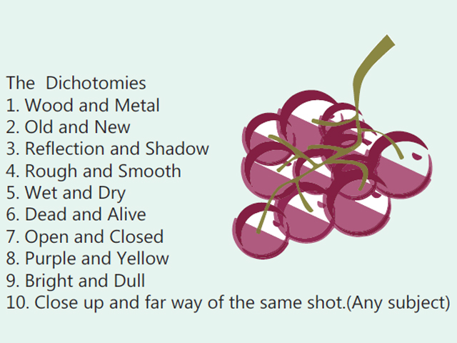 The Dichotomies